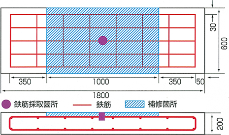 大型供試体配筋図（補修前塩化物イオン量4kg/㎥）